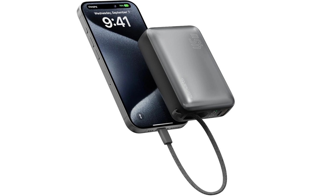 4smarts Chargeurs portatifs Enterprise Compact 20000 mAh, gris espace